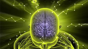 Image name: Human-Brain-Cognition.jpg