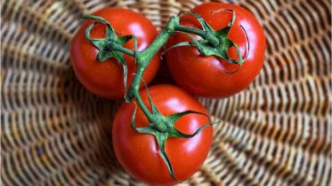 Image name: Ripe-Tomatoes.jpg